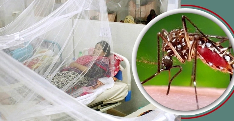ডেঙ্গুতে আরও ৬ মৃত্যু, ভর্তি ১,৬৫৫